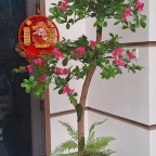cây hoa đỗ quyên giả đẹp giống thật trang trí 
